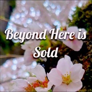 🌸 Beyond this Post is SOLD 🌸